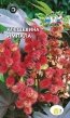 Семена Цветок Клещевина Импала обыкновенная бордовый лист