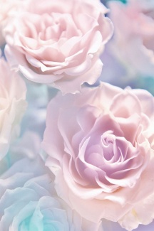 Фотообои 2*2,8 Розовые розы 21-0146-FR DECOCODE